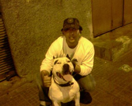 younass et son m&eacute;ga pitbull